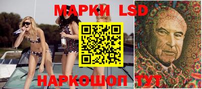 apvp Гатчина