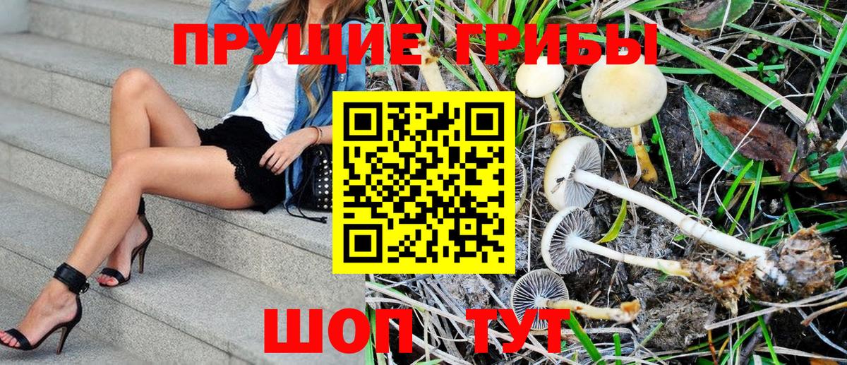 Мелеуз  Псилоцибиновые грибы Psilocybe  Вход с VPN 